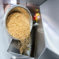 Zrębki wędzarnicze bukowe RÄUCHERGOLD® KL 1/4