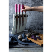 Zestaw 4 noży w bloku Dick 4Knives 81772000-05-79