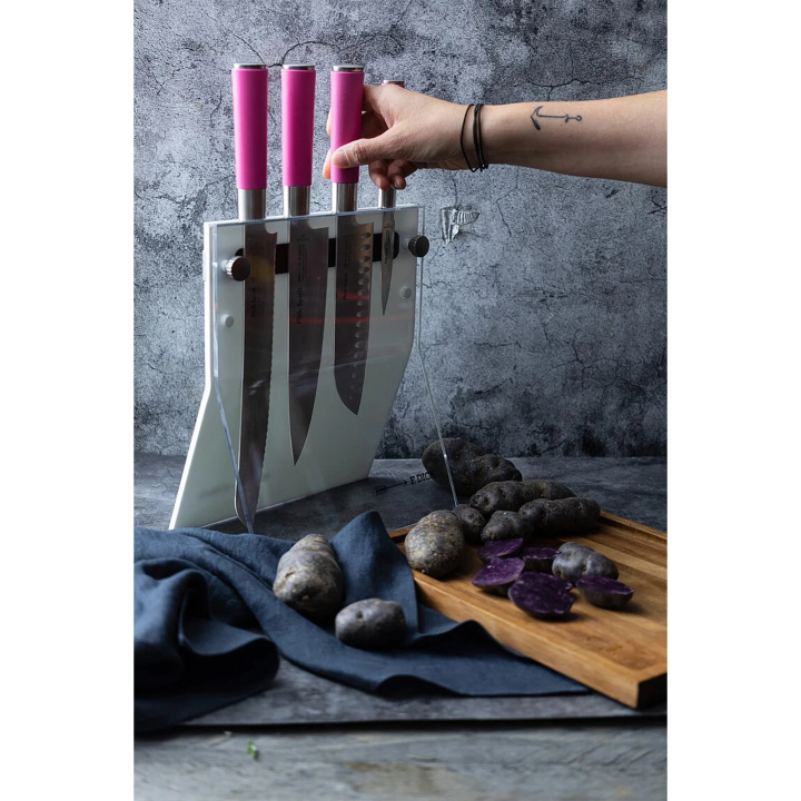 Zestaw 4 noży w bloku Dick 4Knives 81772000-05-79