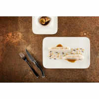 Talerz prostokątny Rak Porcelain Aurea R-AURP38-6