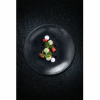 Talerz płytki okrągły Rak Porcelain Karbon R-KRNNPR21-12