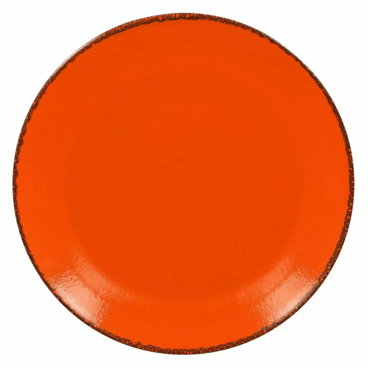 Talerz płytki okrągły Rak Porcelain Fire R-FRNNPR27OR-12