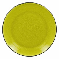 Talerz płytki okrągły Rak Porcelain Fire R-FRNNPR27GR-12