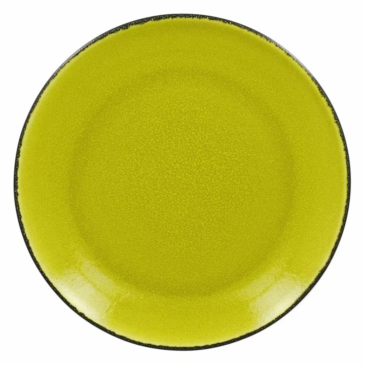 Talerz płytki okrągły Rak Porcelain Fire R-FRNNPR27GR-12