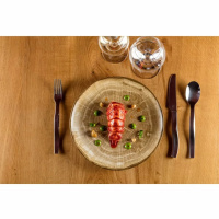 Talerz płytki okrągły Rak Porcelain Woodart R-WDNNPR29MG-12