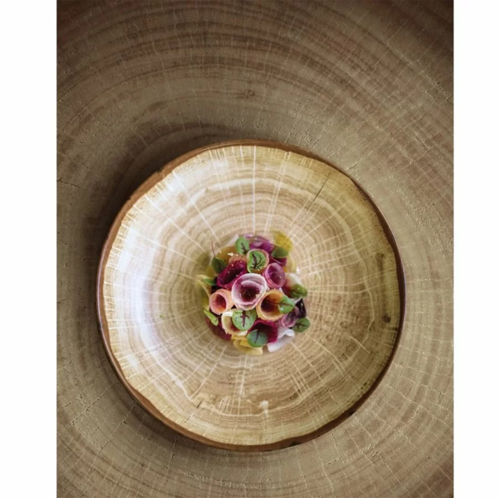 Talerz płytki okrągły Rak Porcelain Woodart R-WDNNPR29MG-12