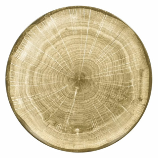 Talerz płytki okrągły Rak Porcelain Woodart R-WDNNPR29MG-12