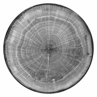 Talerz płytki okrągły Rak Porcelain Woodart R-WDNNPR29BG-12