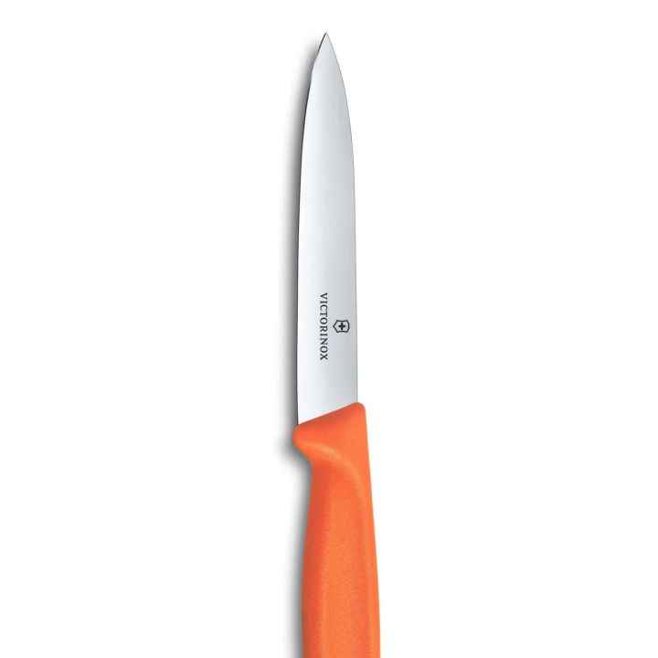 Nóż do warzyw i owoców Victorinox Swiss Classic 6.7709.C1
